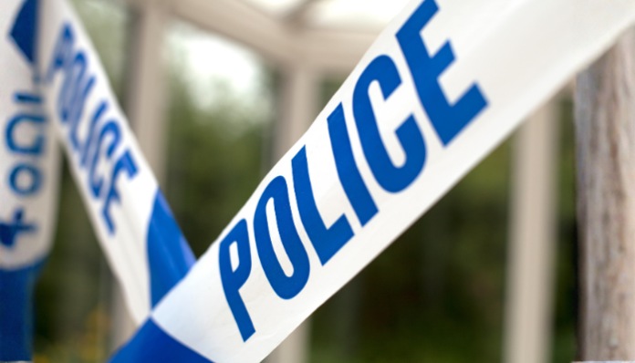 ತೆಲಂಗಾಣ ದೇವಸ್ಥಾನ ಪುರೋಹಿತ ಗಾಂಜಾ ಬೆಳೆ 1 ಕೋಟಿ ಮೌಲ್ಯ ಪತ್ತೆ ಪೊಲೀಸ್ ದಾಳಿ ಪ್ರತೀಕಾತ್ಮಕ ಚಿತ್ರ