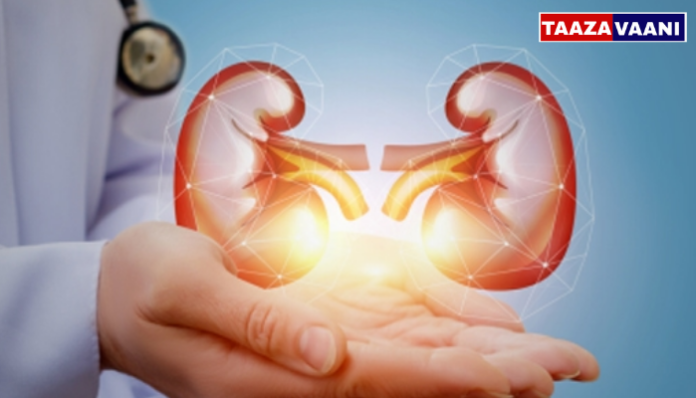 ವಿಜಯಪುರ ಯಶೋದಾ ಆಸ್ಪತ್ರೆಯಲ್ಲಿ ಸೊಸೆಯಂದಿರಿಗೆ ಕಿಡ್ನಿ ದಾನ ಮಾಡಿದ ಅತ್ತೆಯಂದಿರು — ಮಾನವೀಯತೆಯ ಮಾದರಿ