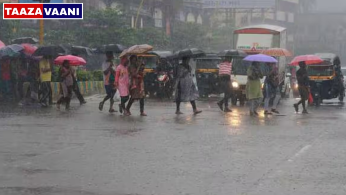 IMD Alert: Yellow alert has been declared for 5 days in 25 districts of Karnataka, including Dakshina Kannada and Udupi, IMD has predicted heavy rain.