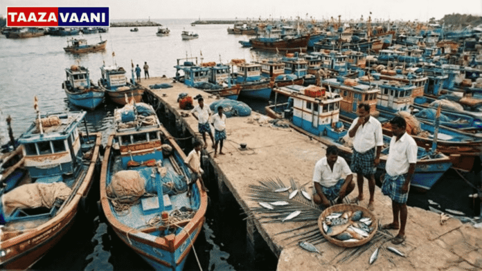 Mangalore fishermen in dire straits! 85% of boats stranded; Fishing halted due to sea heat and diesel shortage!.