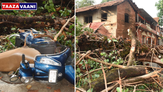 Mangaluru: A huge tree branch fell on Chammara Galli, damaging two houses and three vehicles.